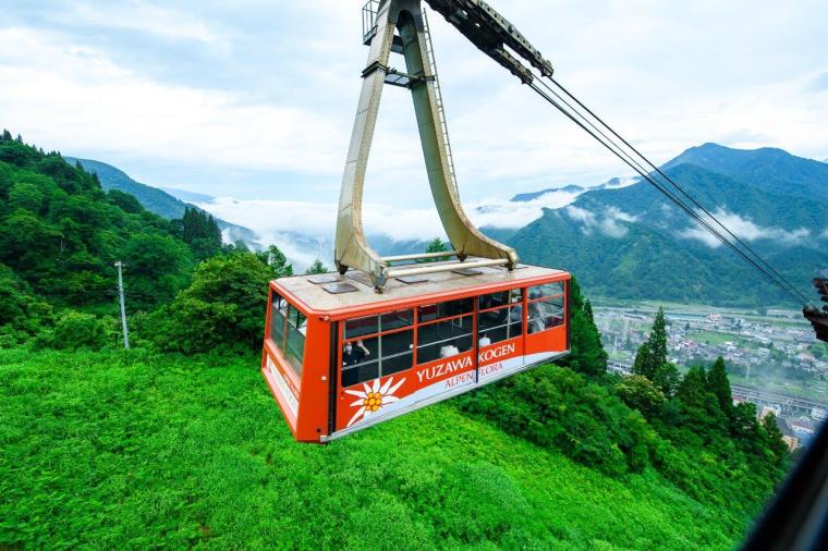 大パノラマの絶景と、可憐な高山植物に癒やされる