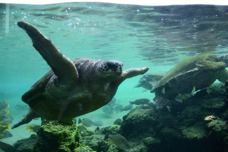 横浜・八景島シーパラダイス