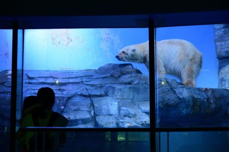 横浜・八景島シーパラダイス