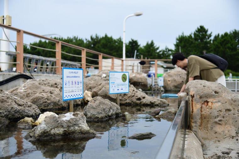横浜・八景島シーパラダイス