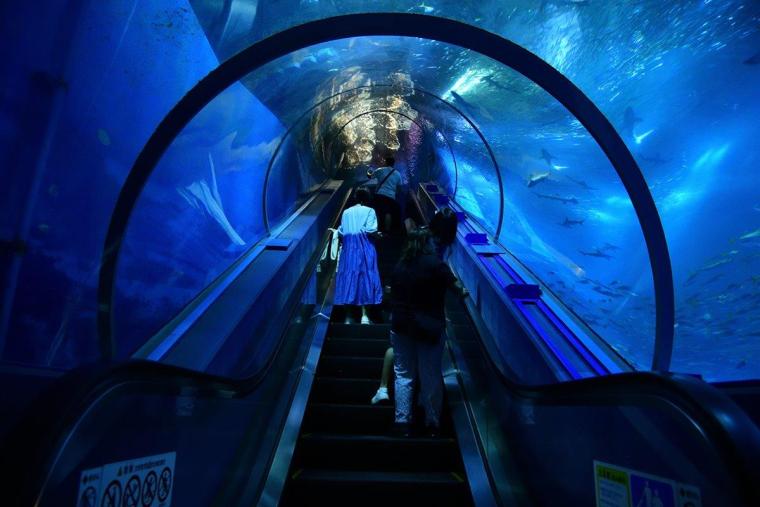 横浜・八景島シーパラダイス