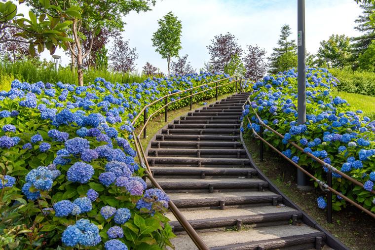 シンボルプロムナード公園