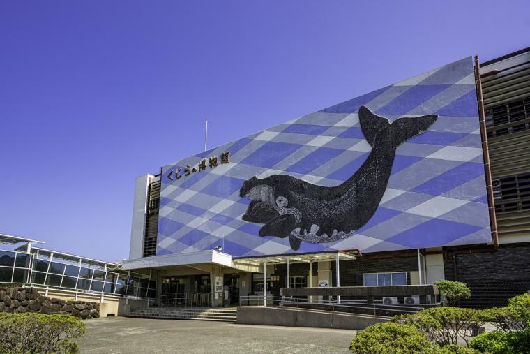太地町立くじらの博物館①