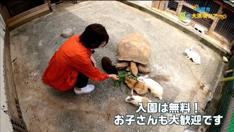 宮崎県串間市 夏の大満喫ツアー!!! 