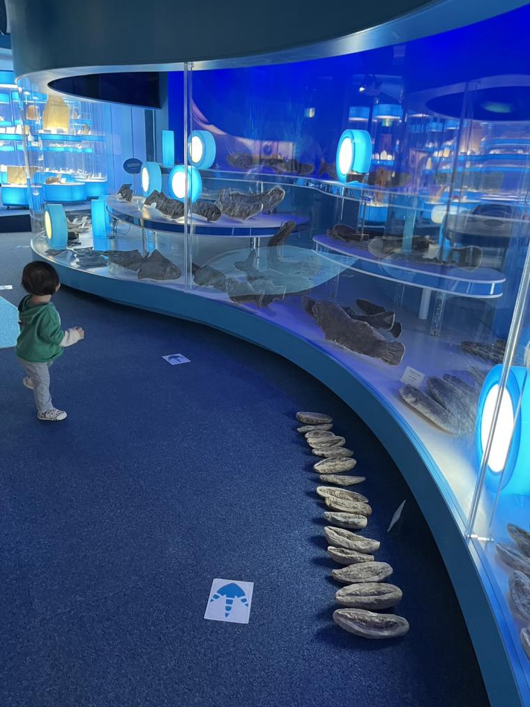 島根県奥出雲町にある「泊まれる博物館」！ドキドキナイトミュージアムや恐竜ルームに大興奮！