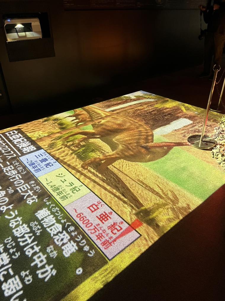 島根県奥出雲町にある「泊まれる博物館」！ドキドキナイトミュージアムや恐竜ルームに大興奮！