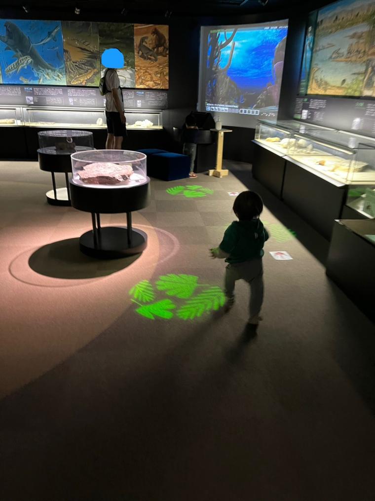 島根県奥出雲町にある「泊まれる博物館」！ドキドキナイトミュージアムや恐竜ルームに大興奮！