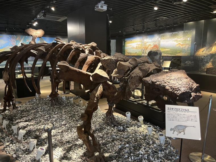 島根県奥出雲町にある「泊まれる博物館」！ドキドキナイトミュージアムや恐竜ルームに大興奮！