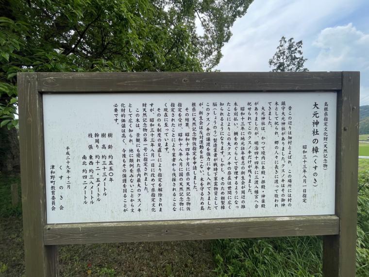 謎の看板に導かれて…「島根で一番大きな木」人生で一度は見るべきスポット勝手に認定！