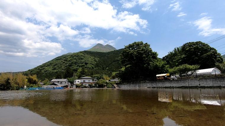 半世紀前の地震で誕生した町の風物詩由布院の辻馬車