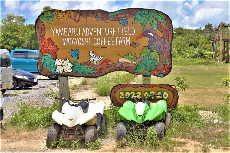 キャンプにジップラインなど非日常を体験！「又吉コーヒー園」 