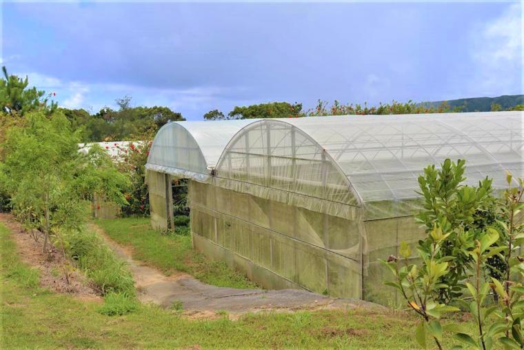 キャンプにジップラインなど非日常を体験！「又吉コーヒー園」 