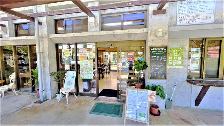 キャンプにジップラインなど非日常を体験！「又吉コーヒー園」 