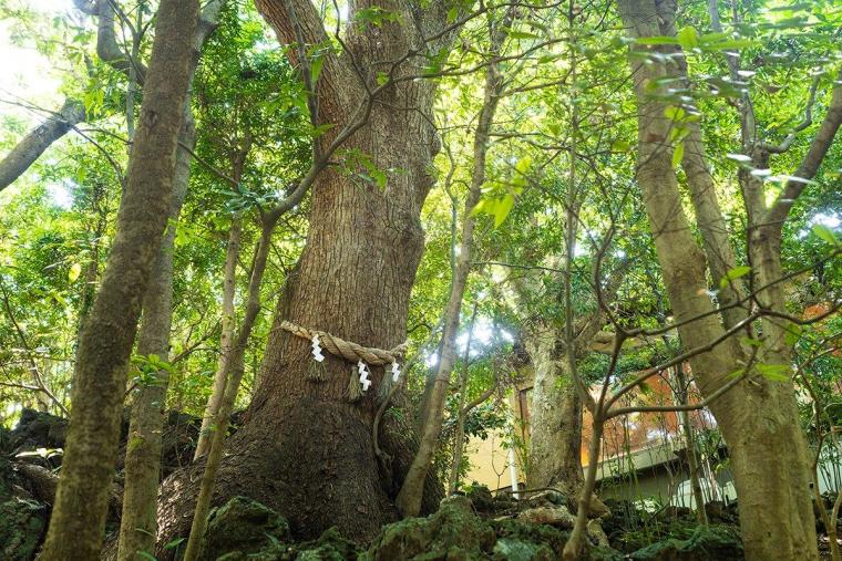 ABBA RESORTS IZU ― 坐漁荘