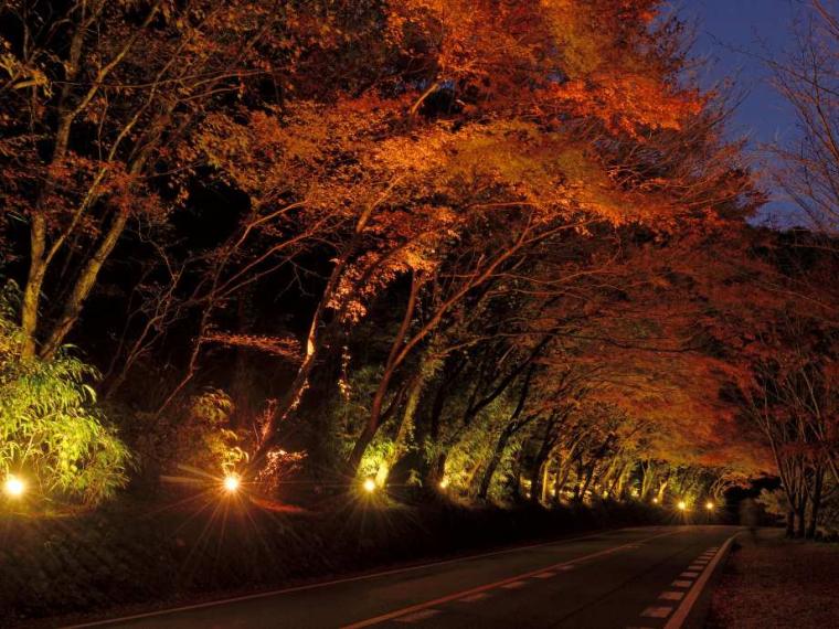 【2023最新】九州のおすすめ紅葉スポット30選