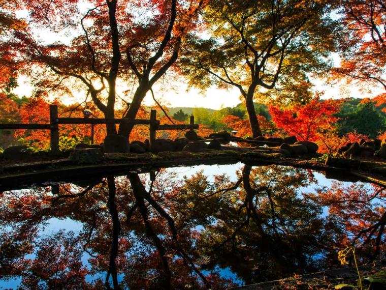 【2023最新】九州のおすすめ紅葉スポット30選