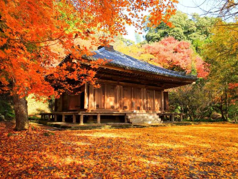 【2023最新】九州のおすすめ紅葉スポット30選
