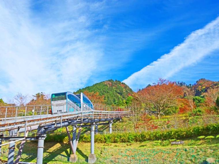 【2023最新】九州のおすすめ紅葉スポット30選