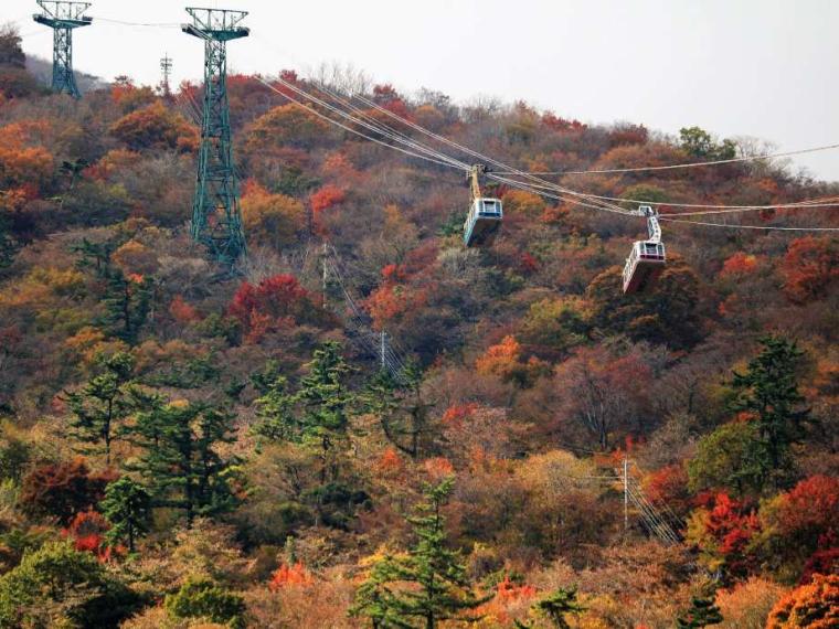 【2023最新】九州のおすすめ紅葉スポット30選