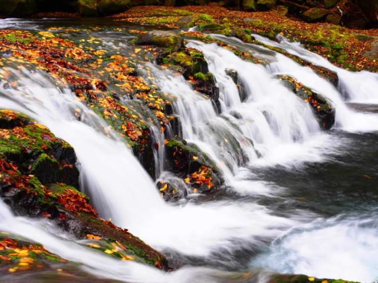 【2023最新】九州のおすすめ紅葉スポット30選