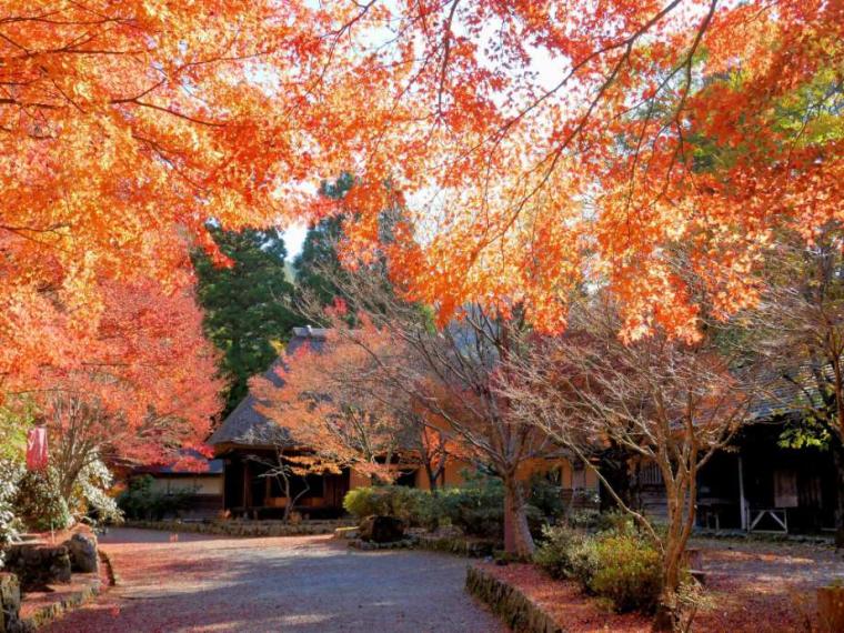 【2023最新】九州のおすすめ紅葉スポット30選