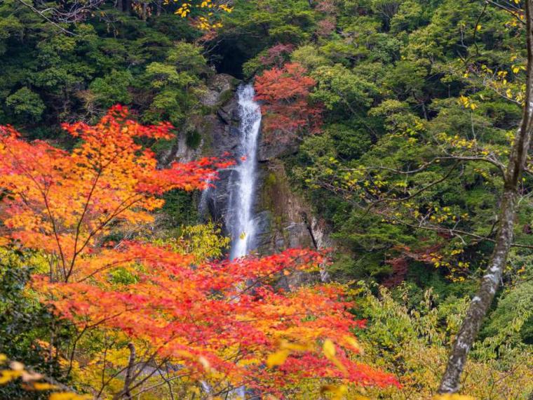 【2023最新】九州のおすすめ紅葉スポット30選