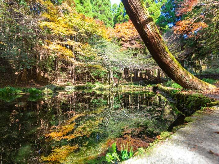 【2023最新】九州のおすすめ紅葉スポット30選