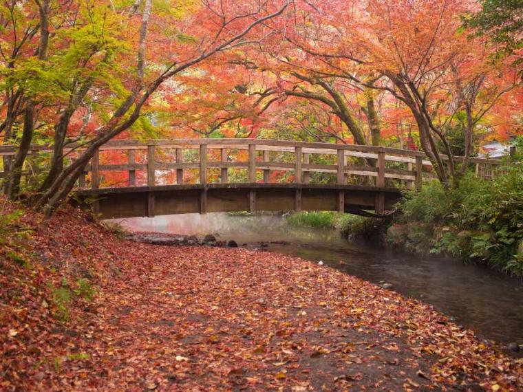 【2023最新】九州のおすすめ紅葉スポット30選