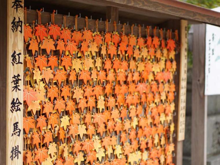 【2023最新】九州のおすすめ紅葉スポット30選