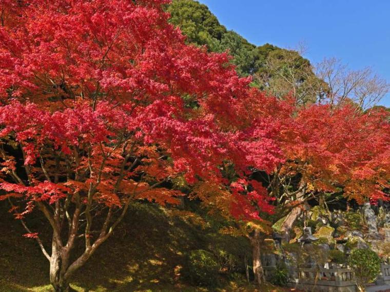 【2023最新】九州のおすすめ紅葉スポット30選