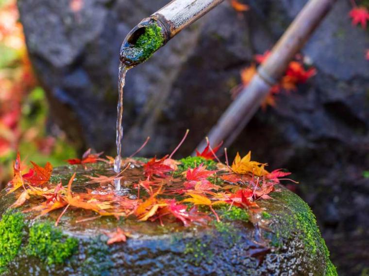 【2023最新】九州のおすすめ紅葉スポット30選