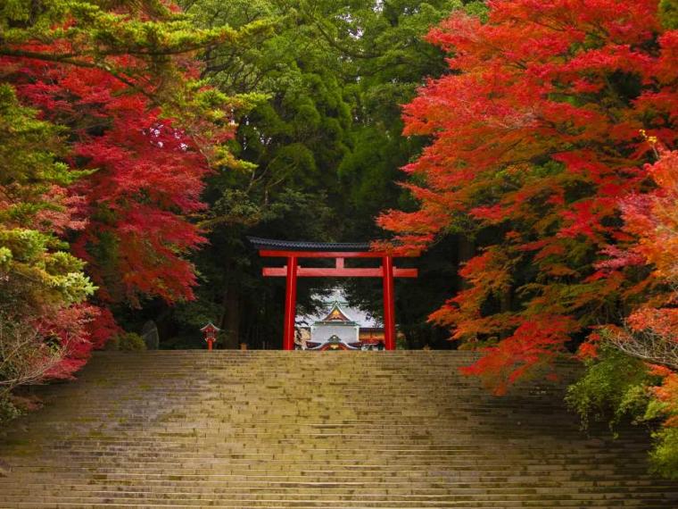 【2023最新】九州のおすすめ紅葉スポット30選