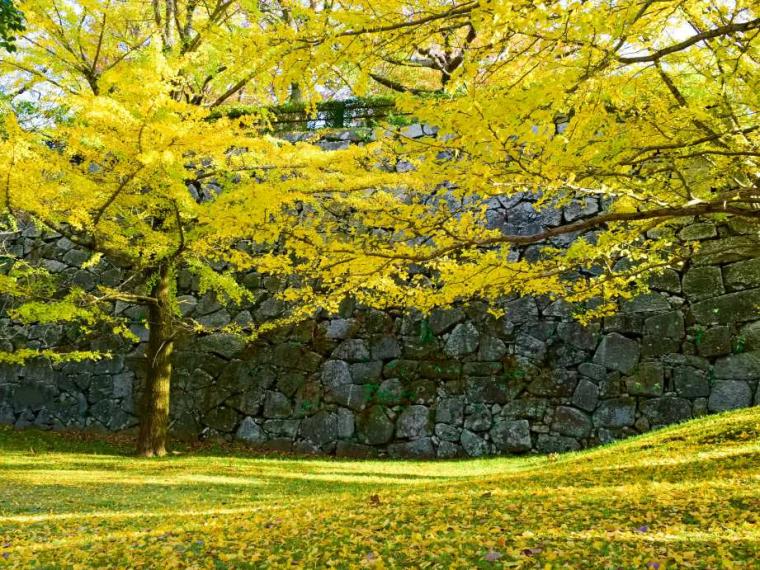 【2023最新】九州のおすすめ紅葉スポット30選