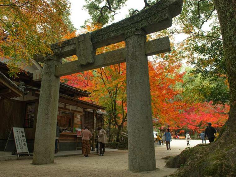 【2023最新】九州のおすすめ紅葉スポット30選