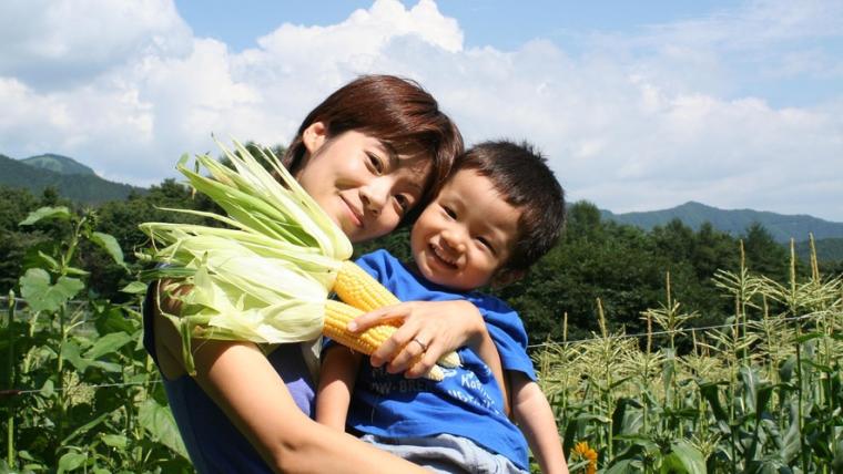 畑から直行！とれたて野菜がおいしい【自家農園のある宿・ホテル】15 選