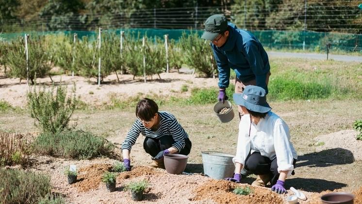 畑から直行！とれたて野菜がおいしい【自家農園のある宿・ホテル】15 選