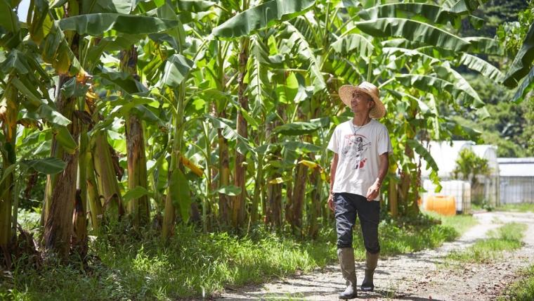 畑から直行！とれたて野菜がおいしい【自家農園のある宿・ホテル】15 選