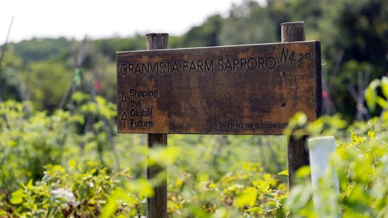 畑から直行！とれたて野菜がおいしい【自家農園のある宿・ホテル】15 選