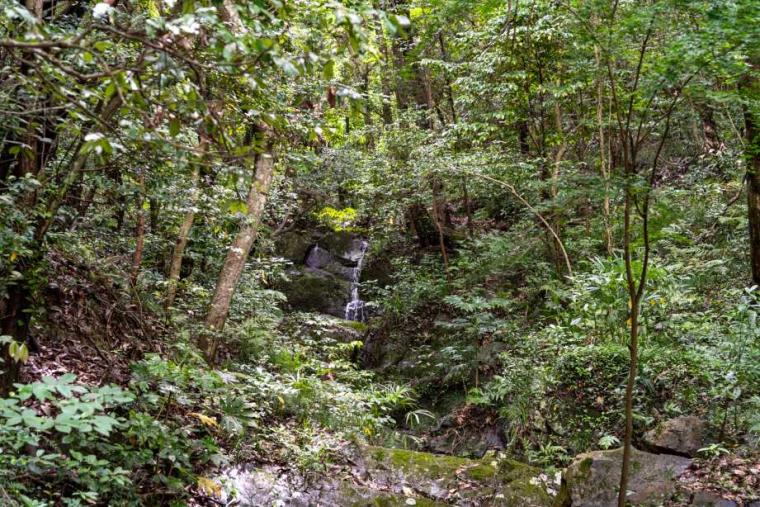 吉備の中山遊歩道