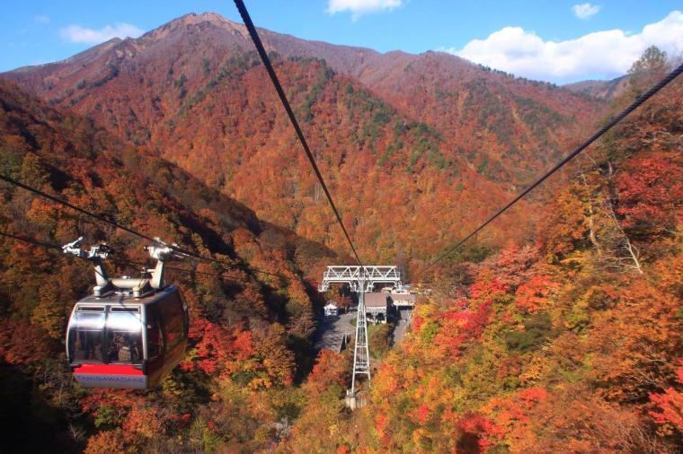 谷川岳ロープウェイ 紅葉
