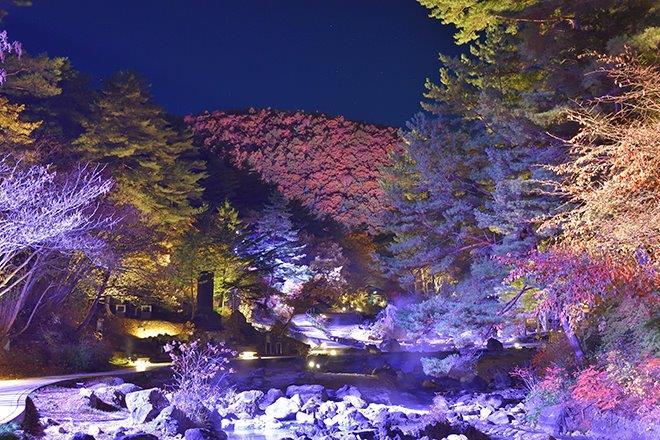 西の河原公園 紅葉