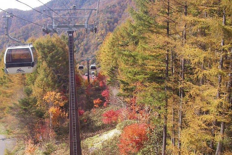 日光白根山ロープウェー 紅葉