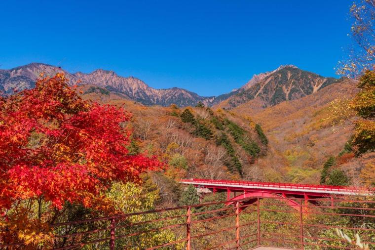 東沢大橋 紅葉