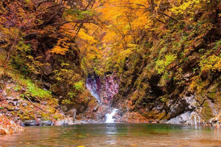 尾白川渓谷 紅葉