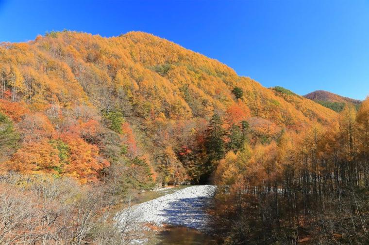 西沢渓谷 紅葉