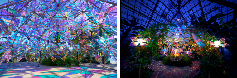 まばゆい光の世界が描き出される「光とバラのインスタレーション」