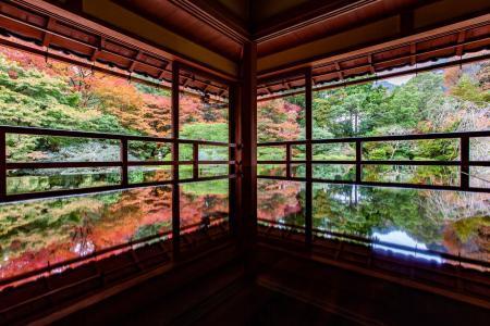 アートな街イベント「NAKED GARDEN ONE KYOTO 2023」で秋の京都を体感！