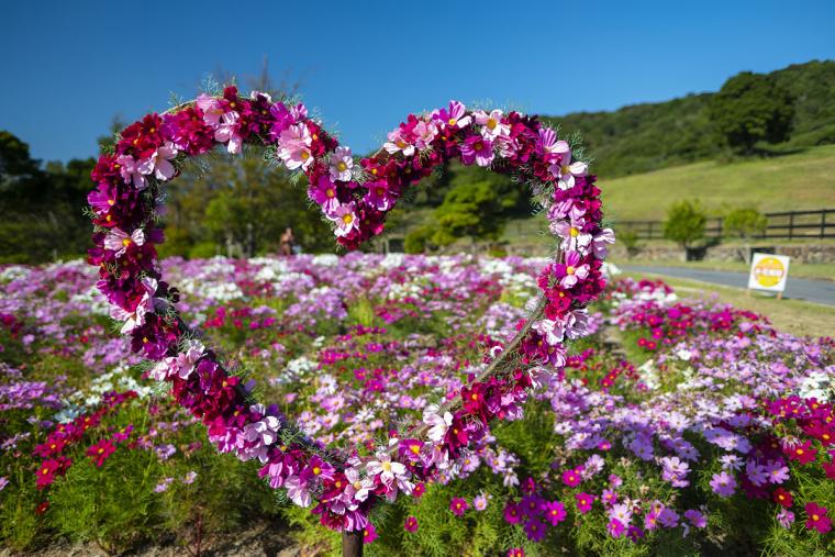 イングランドの丘