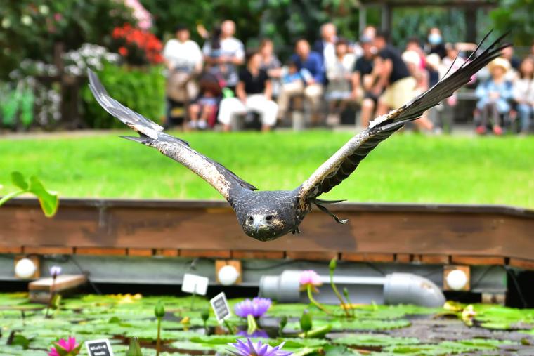 神戸どうぶつ王国