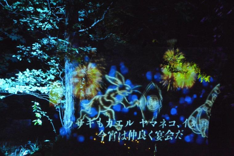 長野県阿智村「天空の楽園 ナイトツアー」